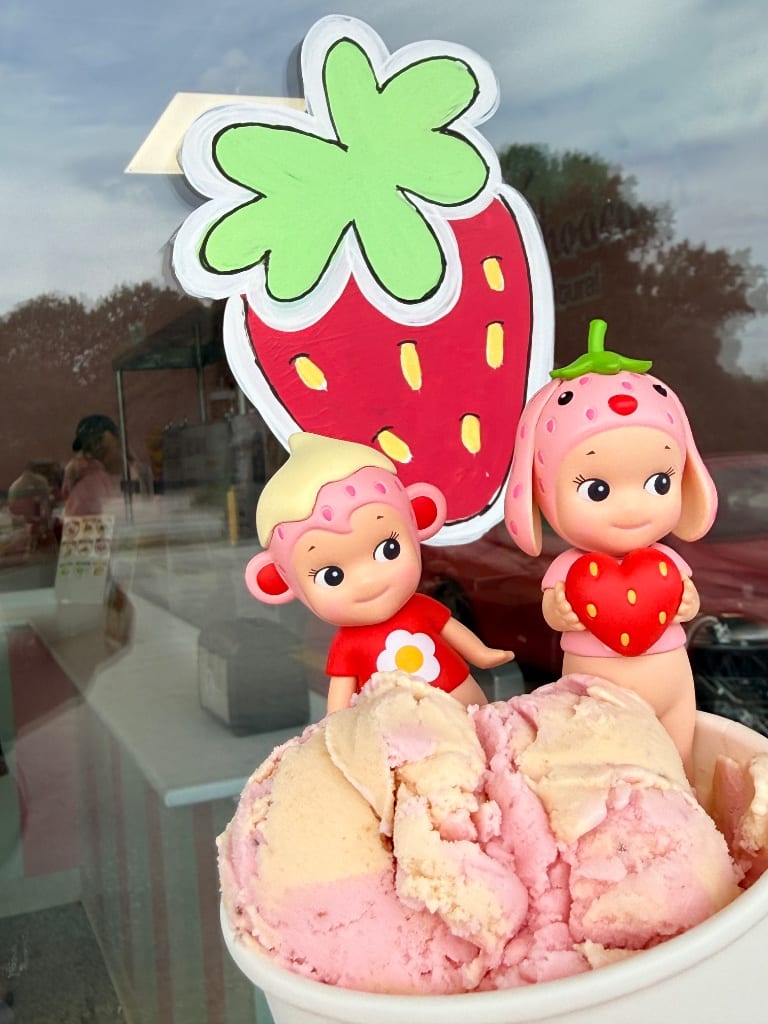 Strawberry and vanilla ice cream with strawberry figurines
